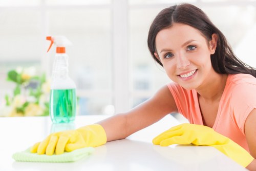 Professional cleaner representing Cleaner Bayswater at work