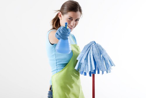 Professional carpet cleaning for a Bayswater home living area