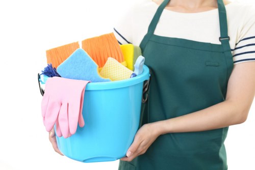 Professional pet stain and odour treatment for a carpeted home in Bayswater