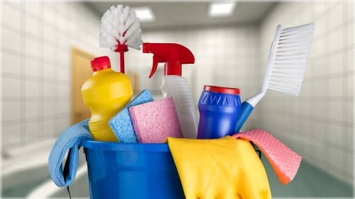 Local one-off cleaning service for a Bayswater home