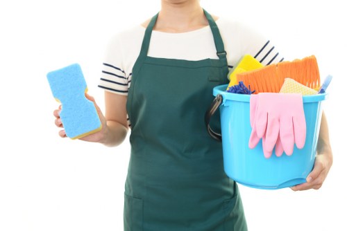Professional sofa cleaning service in a Bayswater living room