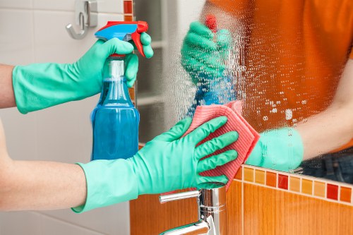 Regular cleaning service in Bayswater for homes and businesses