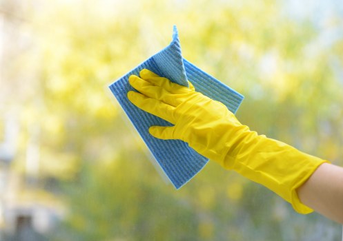 Roof gutter cleaning equipment and debris removal for Bayswater properties