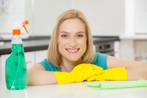 Customer reviewing booking details and service confirmation for cleaning
