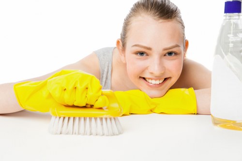 Local cleaners handling an apartment turnover in Bayswater
