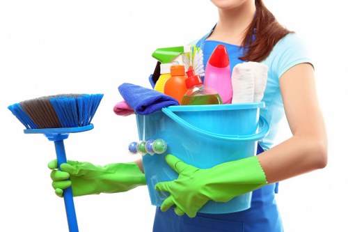 Deep carpet cleaning equipment used in a Bayswater property