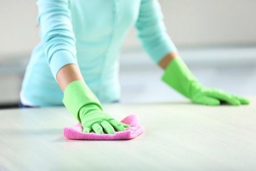 Deep cleaning process for a stained rug in Bayswater