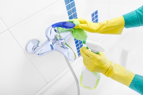 Local pet stain odour removal service for Bayswater commercial and residential spaces