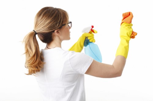 Deep cleaning and dusting for a family home in Bayswater