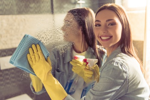 User controlling cookie preferences for Cleaner Bayswater