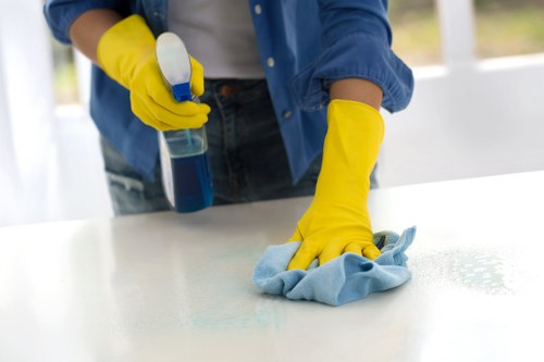Step-by-step professional oven cleaning process